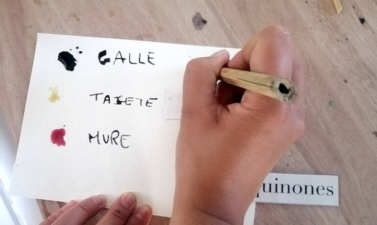 mediatheque-Atelier_naturaliste.jpg