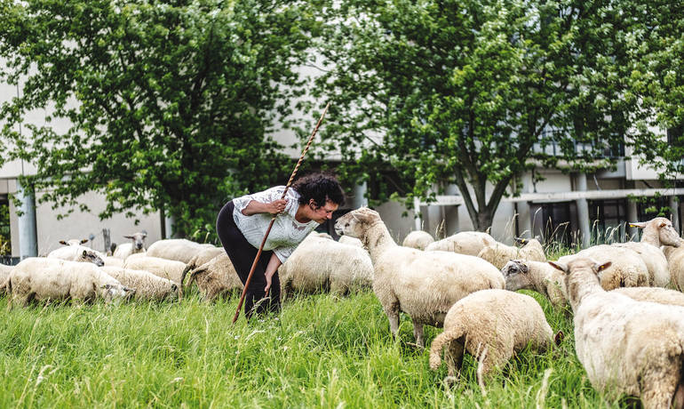 transhumance-1500-credit_Jean-Fabien-Leclanche-pour-Enlarge-your-Paris.jpg