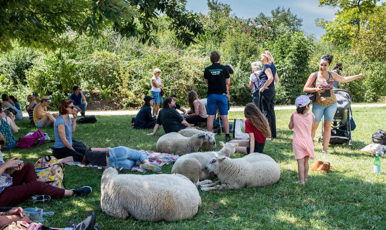 01-transhumance-moutons-1500-credit-Marie_Pierre_Dieterle-201907.jpg