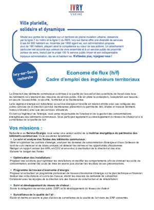 Econome de flux