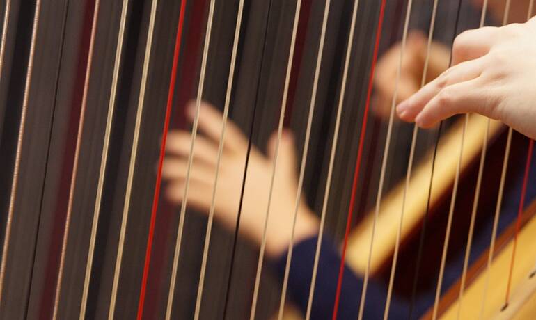 HARPE.jpg
