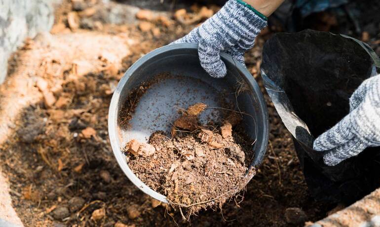 compost-tamisage-festif-automne.jpg
