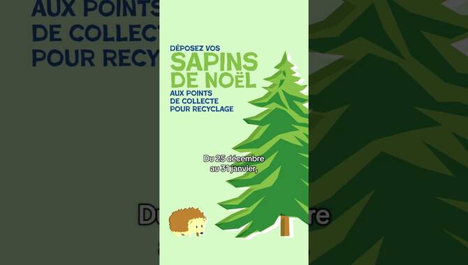 Bon plan : Où déposer son sapin ?